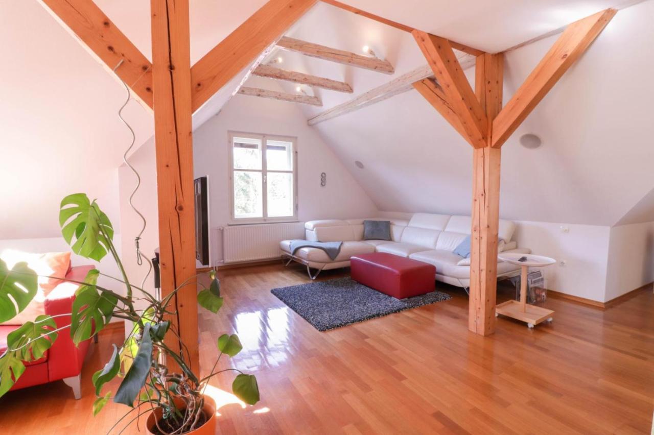 Apartment In The Heart Of Bled With Views المظهر الخارجي الصورة